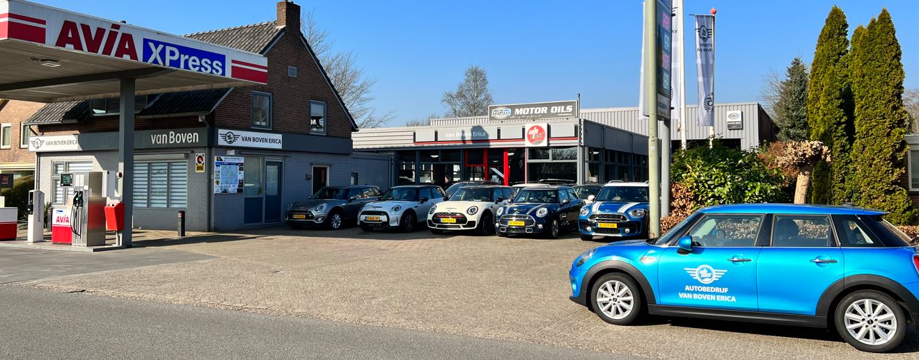 MINI & BMW specialist